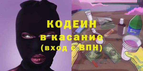 соль ск Бородино