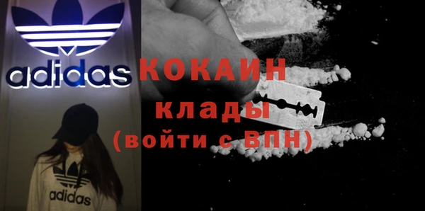 сатива Бронницы
