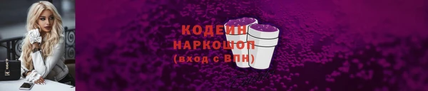 соль ск Бородино
