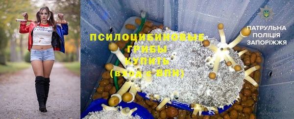 сатива Бронницы