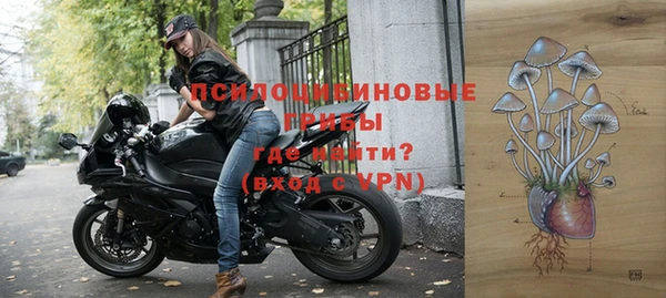 соль ск Бородино