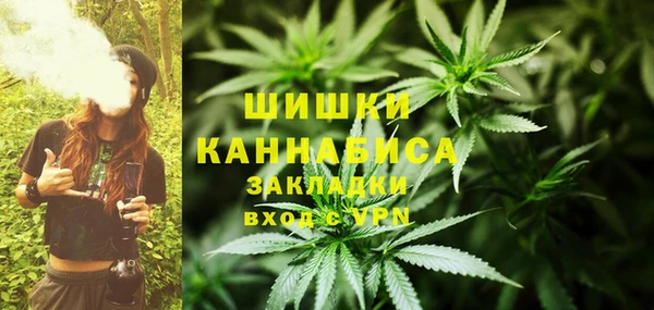 сатива Бронницы