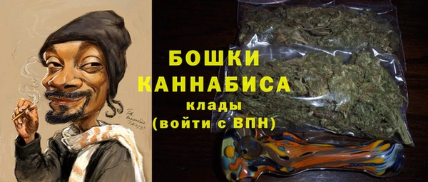 сатива Бронницы