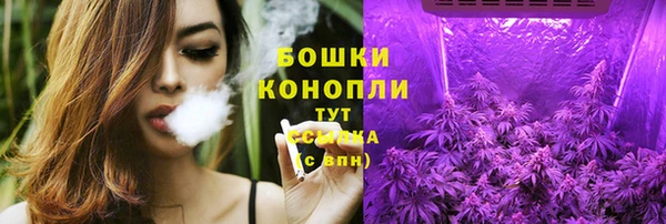 сатива Бронницы