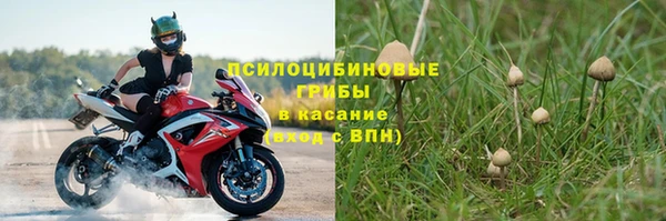 сатива Бронницы