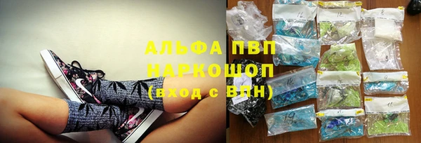 сатива Бронницы